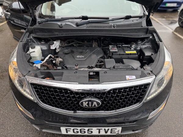 Used Kia Sportage 2016 for sale - 74802859: Photo 16
