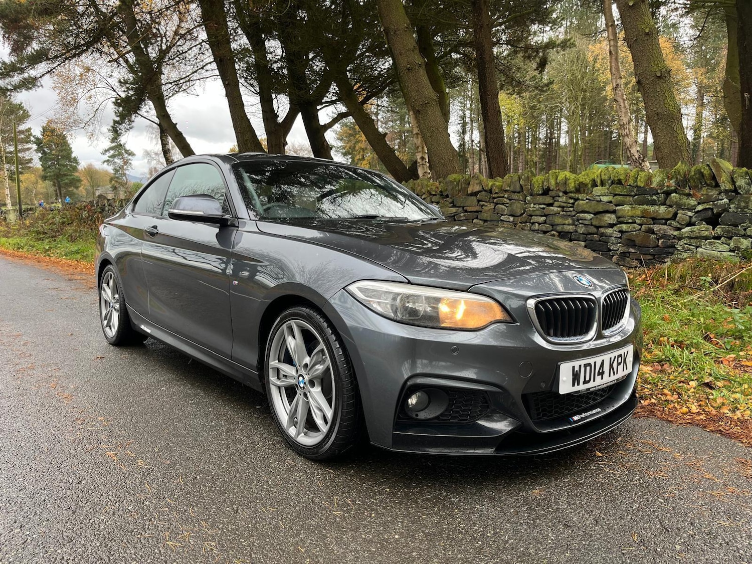 Used BMW 2 Series 2014 for sale - 76703637: Photo 1