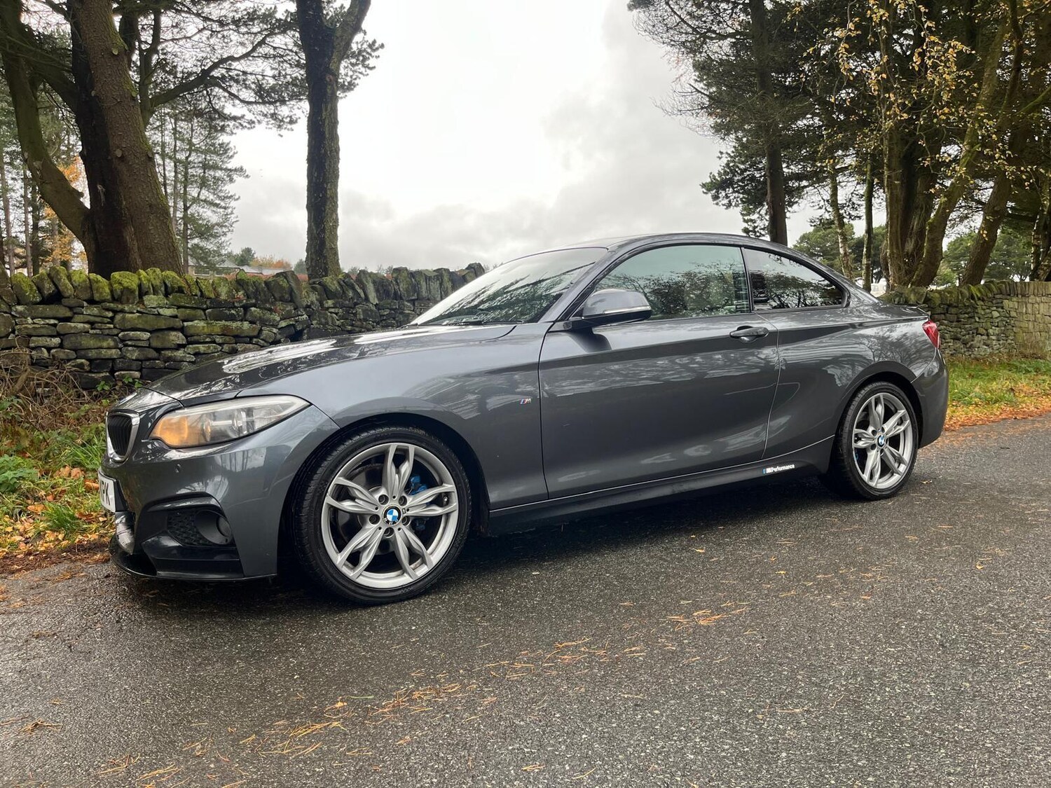 Used BMW 2 Series 2014 for sale - 76703637: Photo 10