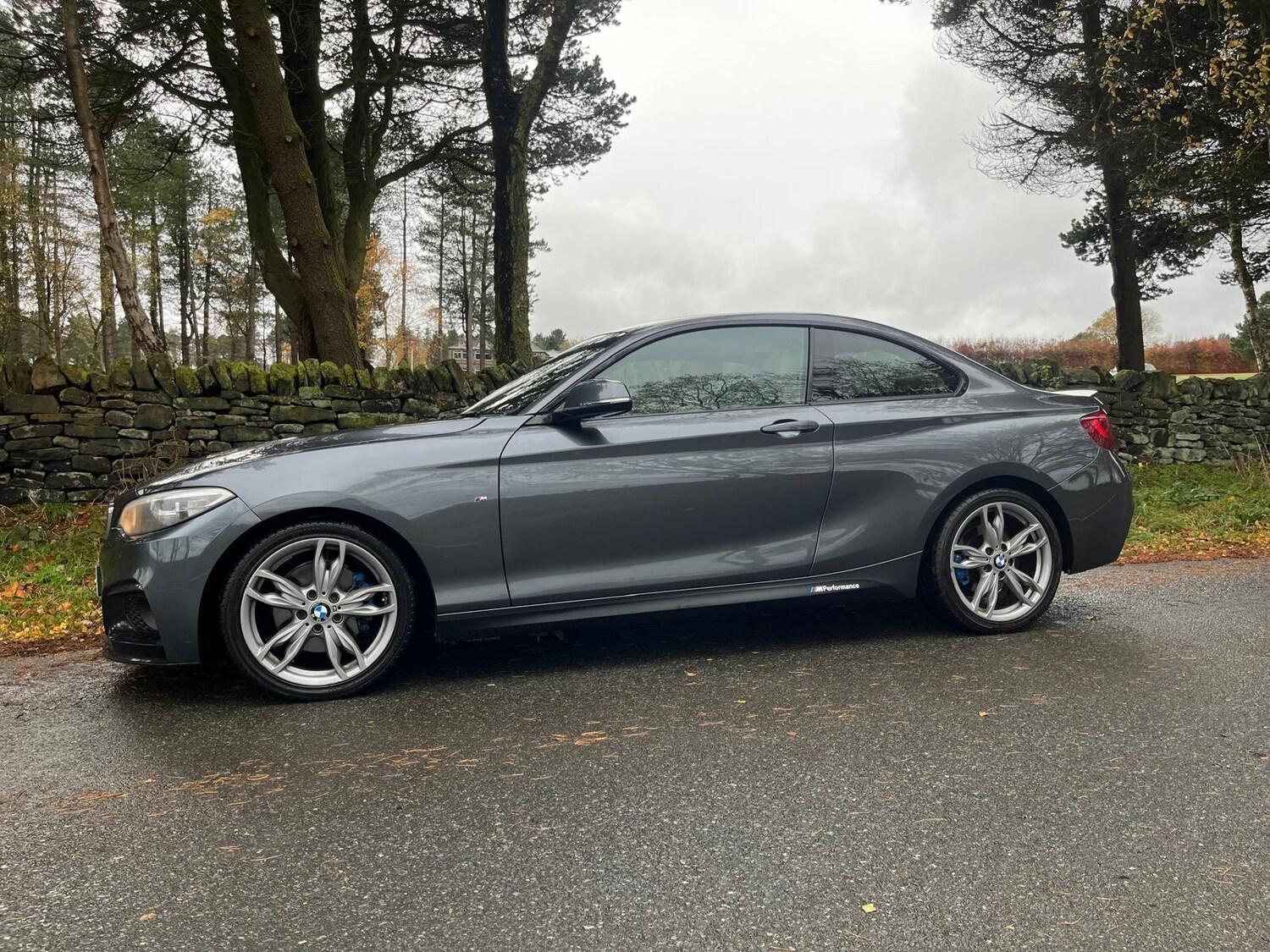 Used BMW 2 Series 2014 for sale - 76703637: Photo 12