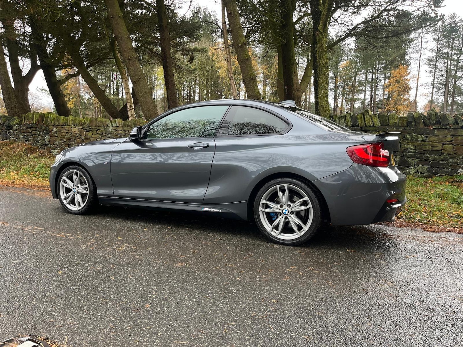 Used BMW 2 Series 2014 for sale - 76703637: Photo 13