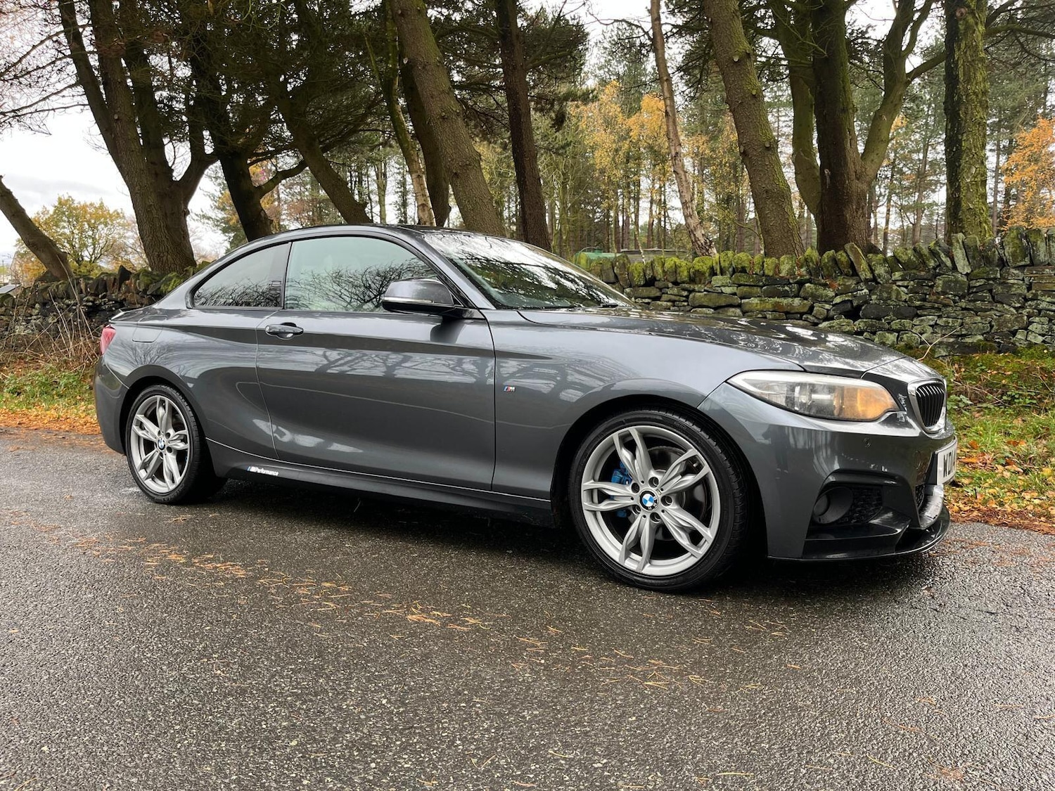 Used BMW 2 Series 2014 for sale - 76703637: Photo 2