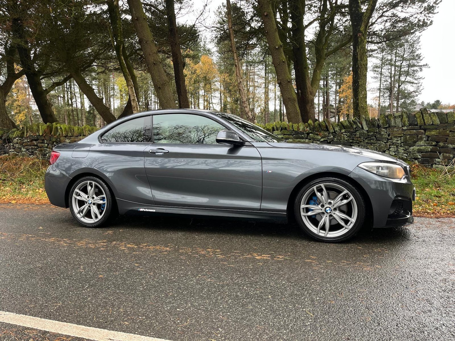 Used BMW 2 Series 2014 for sale - 76703637: Photo 3