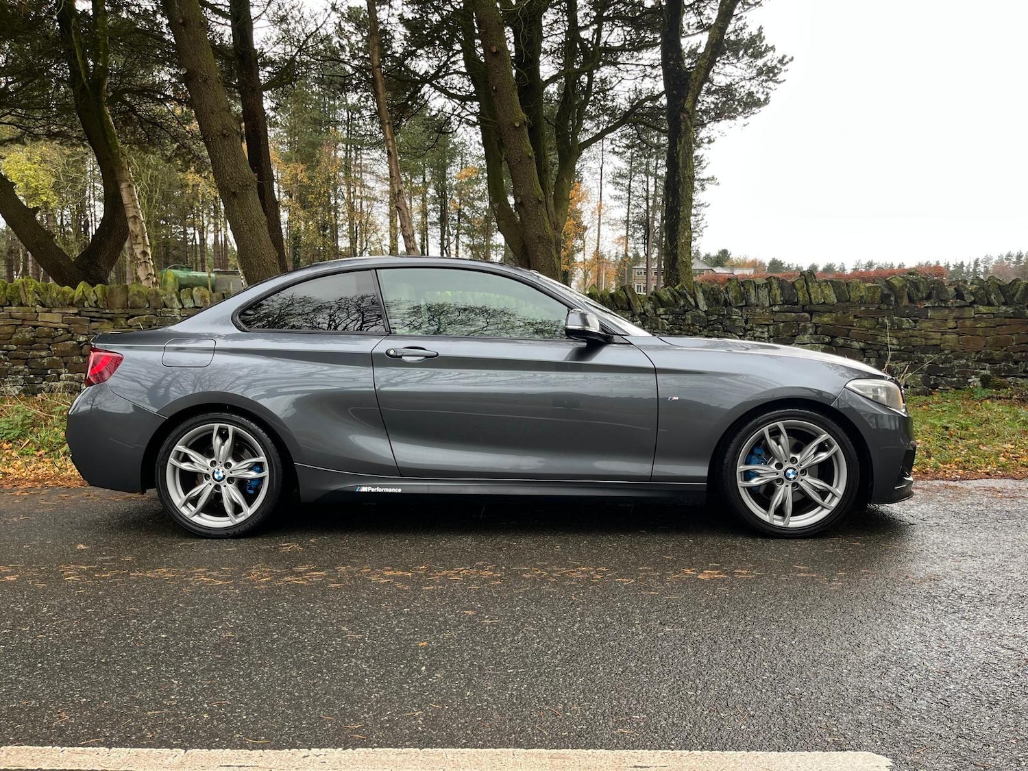 Used BMW 2 Series 2014 for sale - 76703637: Photo 4