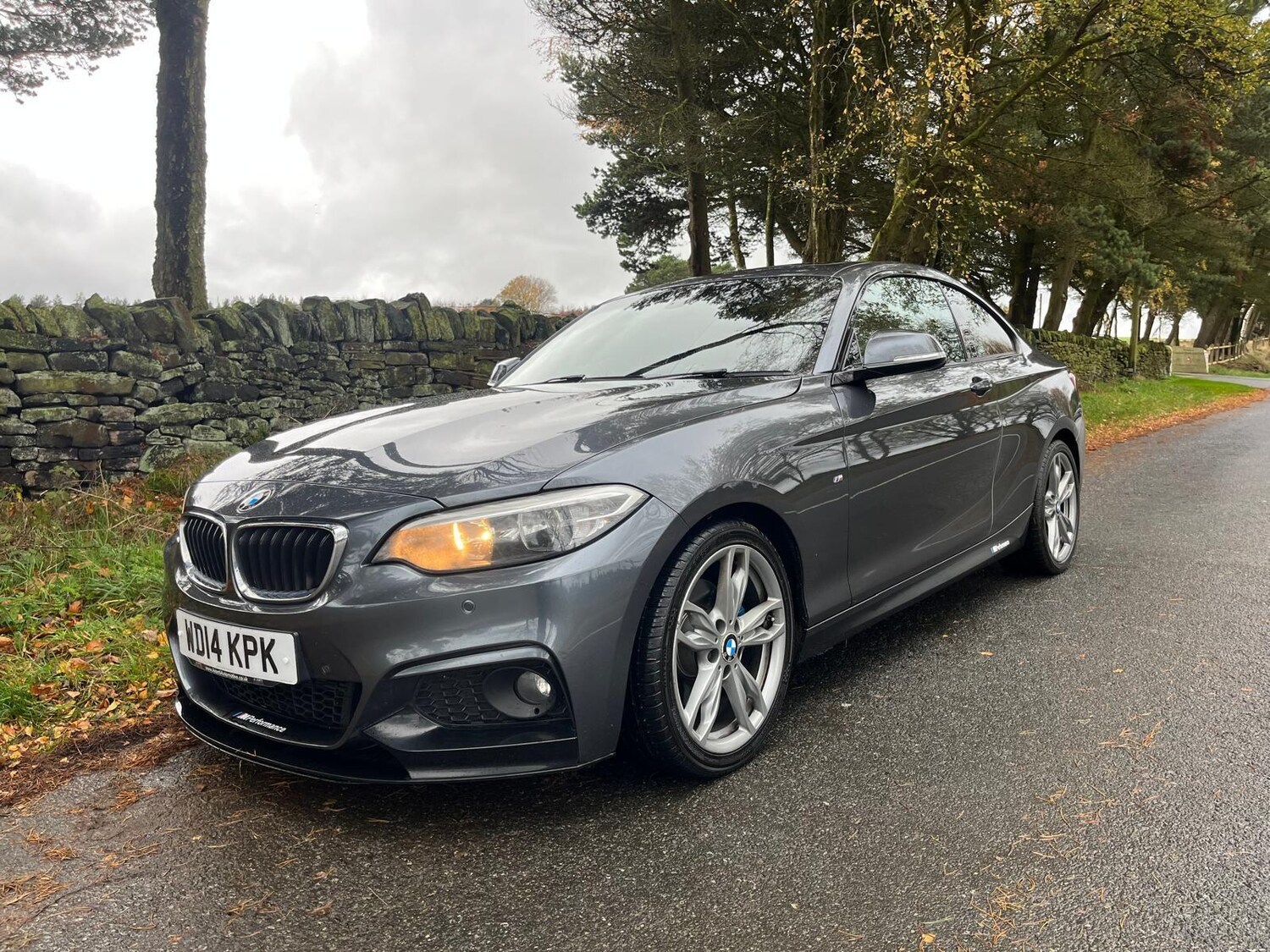 Used BMW 2 Series 2014 for sale - 76703637: Photo 9