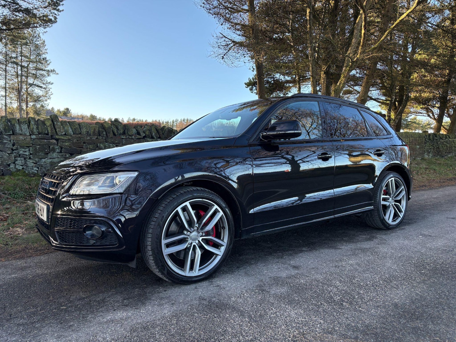Used Audi SQ5 2016 for sale - 77081876: Photo 11
