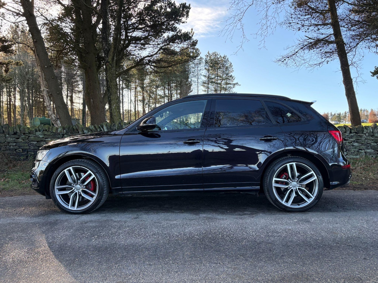 Used Audi SQ5 2016 for sale - 77081876: Photo 13