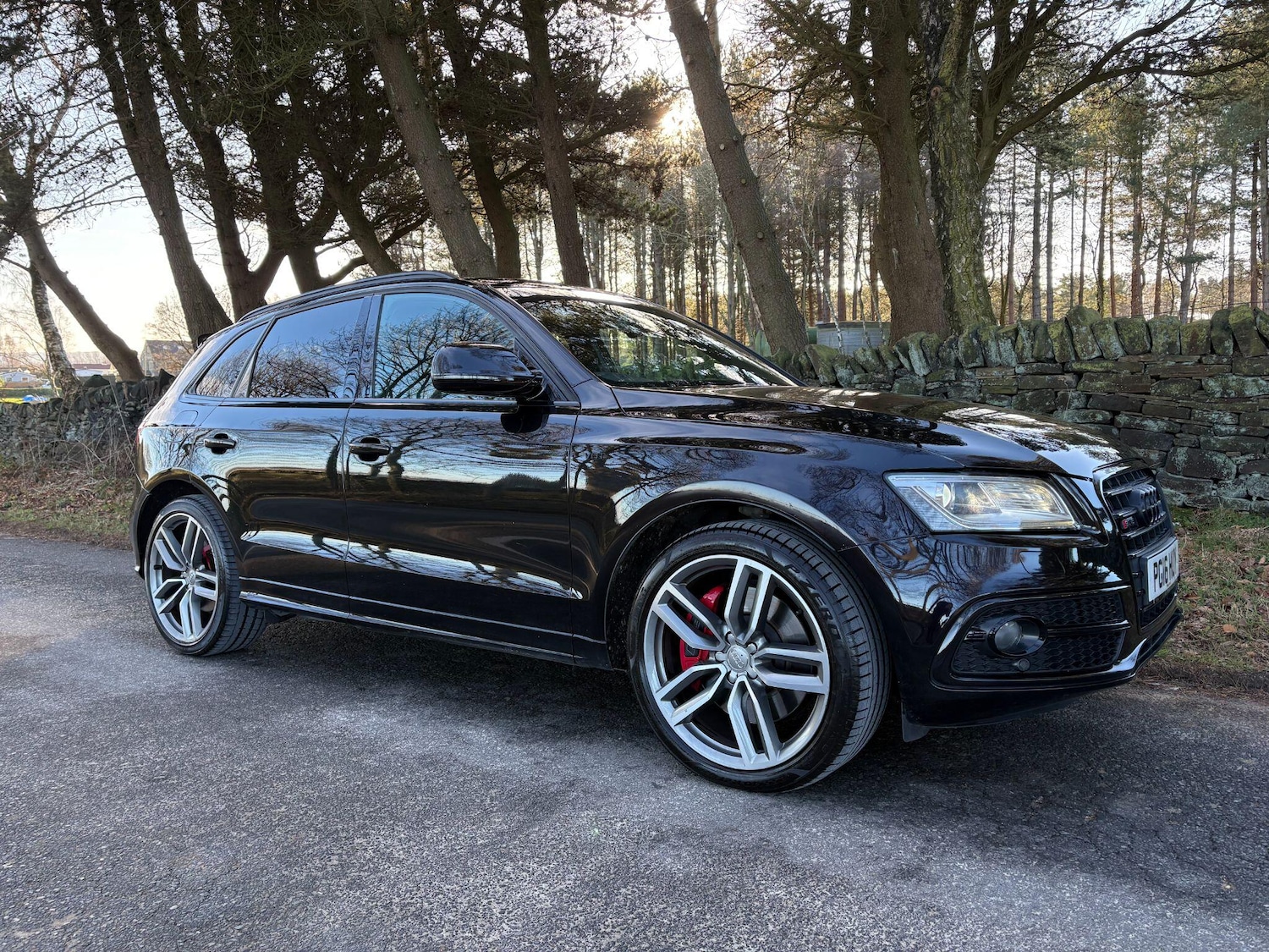 Used Audi SQ5 2016 for sale - 77081876: Photo 2