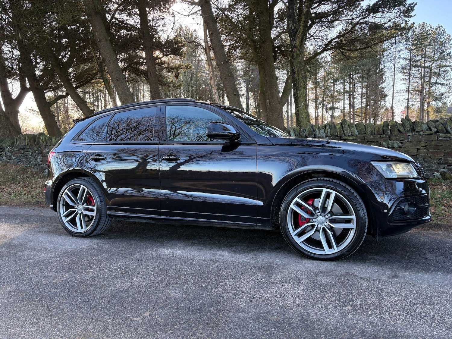 Used Audi SQ5 2016 for sale - 77081876: Photo 3