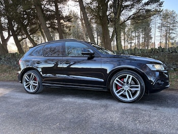 Used Audi SQ5 2016 for sale - 77081876: Photo