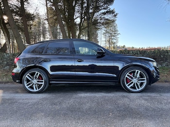 Used Audi SQ5 2016 for sale - 77081876: Photo