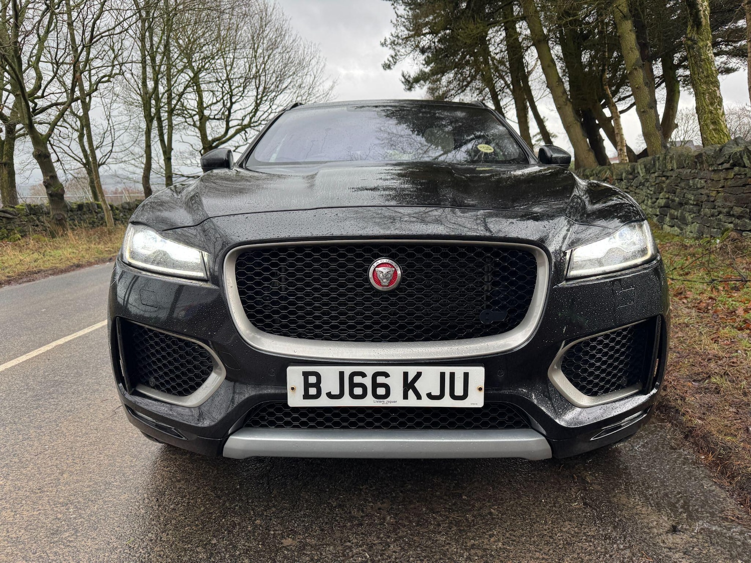 Used Jaguar F-Pace 2016 for sale - 78047026: Photo 12