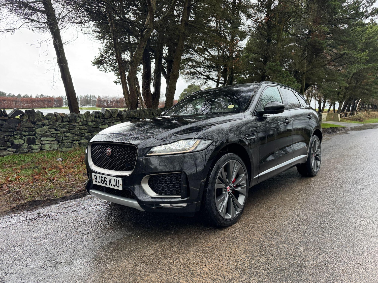 Used Jaguar F-Pace 2016 for sale - 78047026: Photo 13