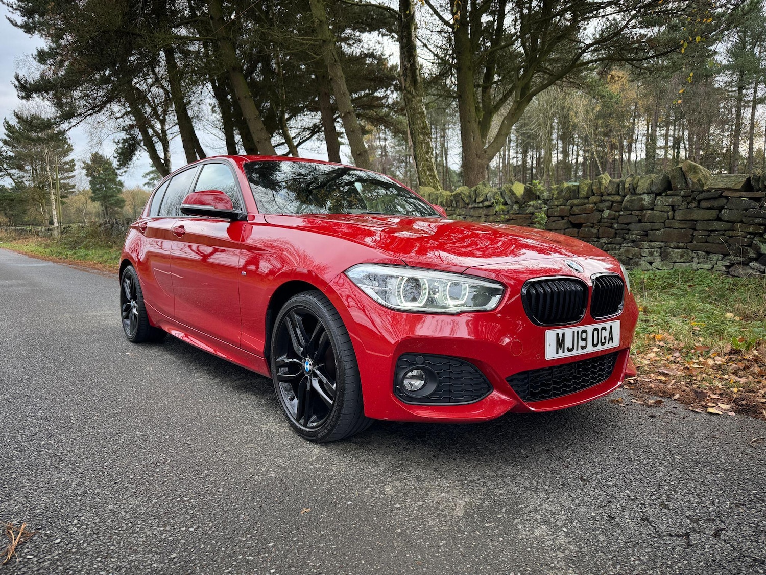 Used BMW 1 Series 2019 for sale - 76703651: Photo 1