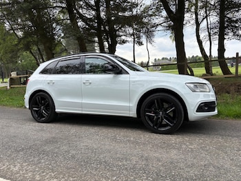 Used Audi SQ5 2014 for sale - 78516708: Photo