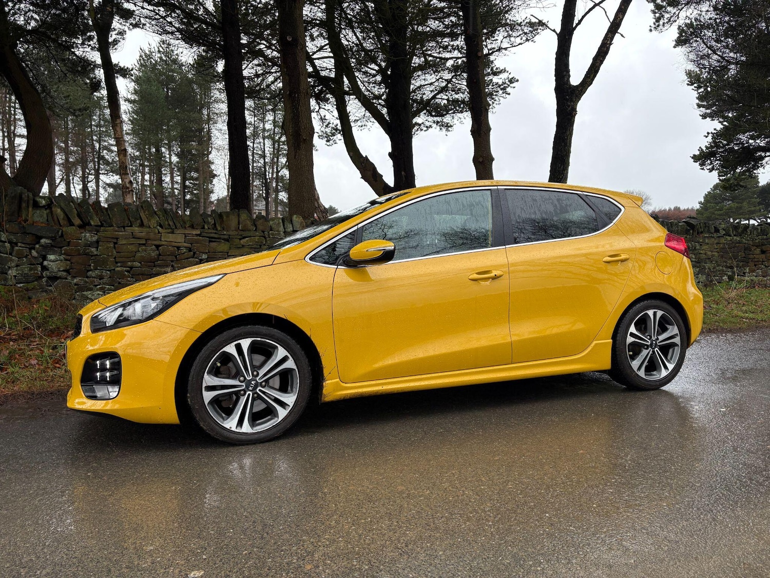 Used Kia Ceed 2016 for sale - 76936363: Photo 12