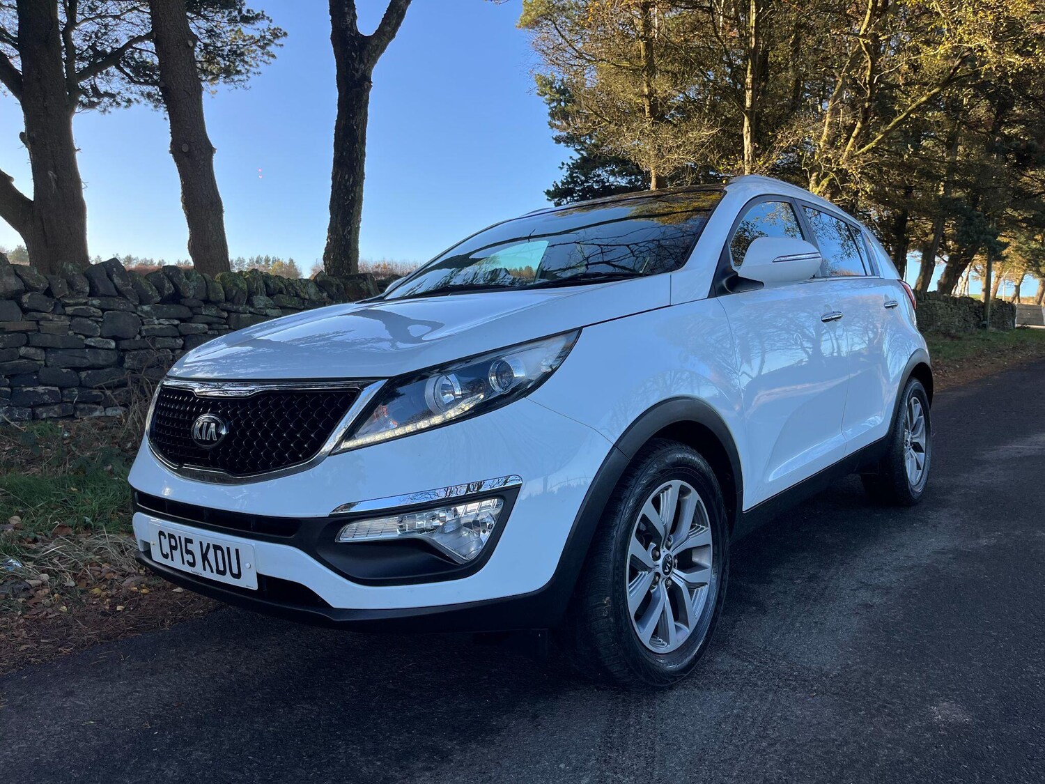 Used Kia Sportage 2015 for sale - 76703654: Photo 10