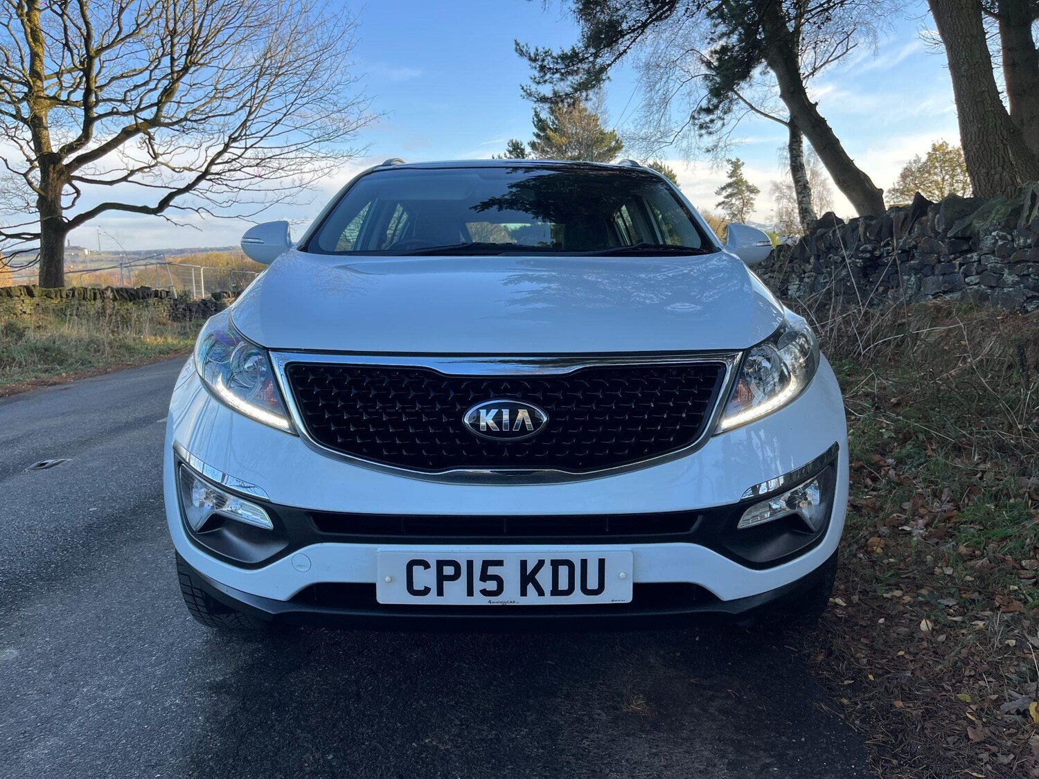 Used Kia Sportage 2015 for sale - 76703654: Photo 11