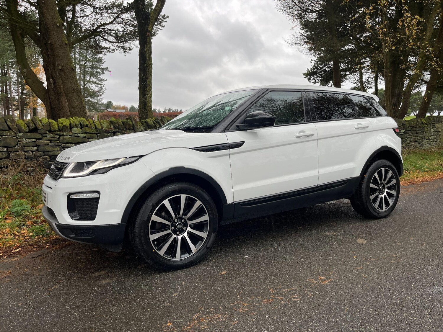 Used Land Rover Range Rover Evoque 2017 for sale - 76703647: Photo 11