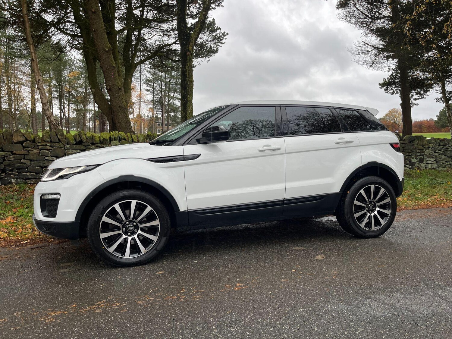 Used Land Rover Range Rover Evoque 2017 for sale - 76703647: Photo 12
