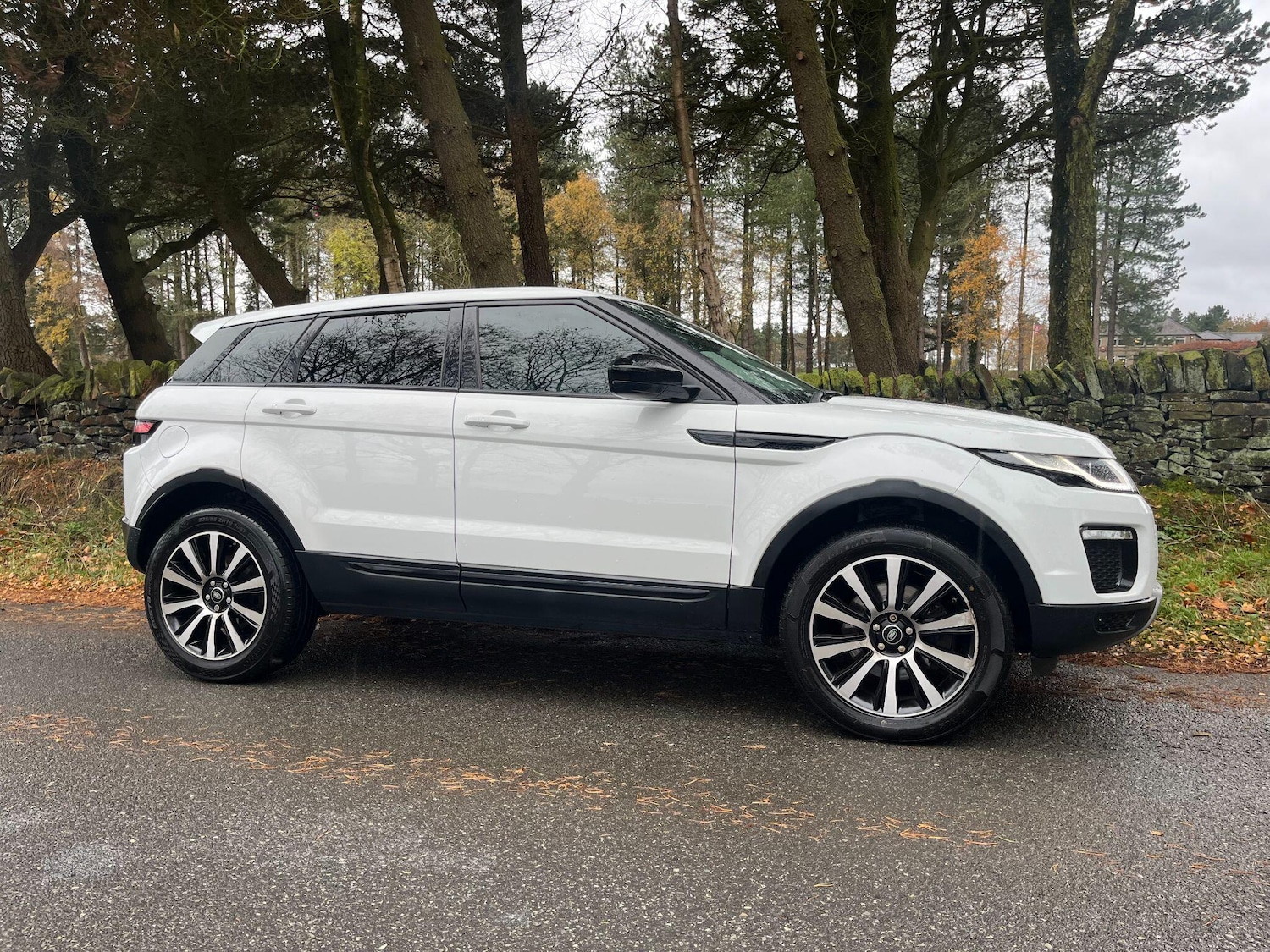 Used Land Rover Range Rover Evoque 2017 for sale - 76703647: Photo 3
