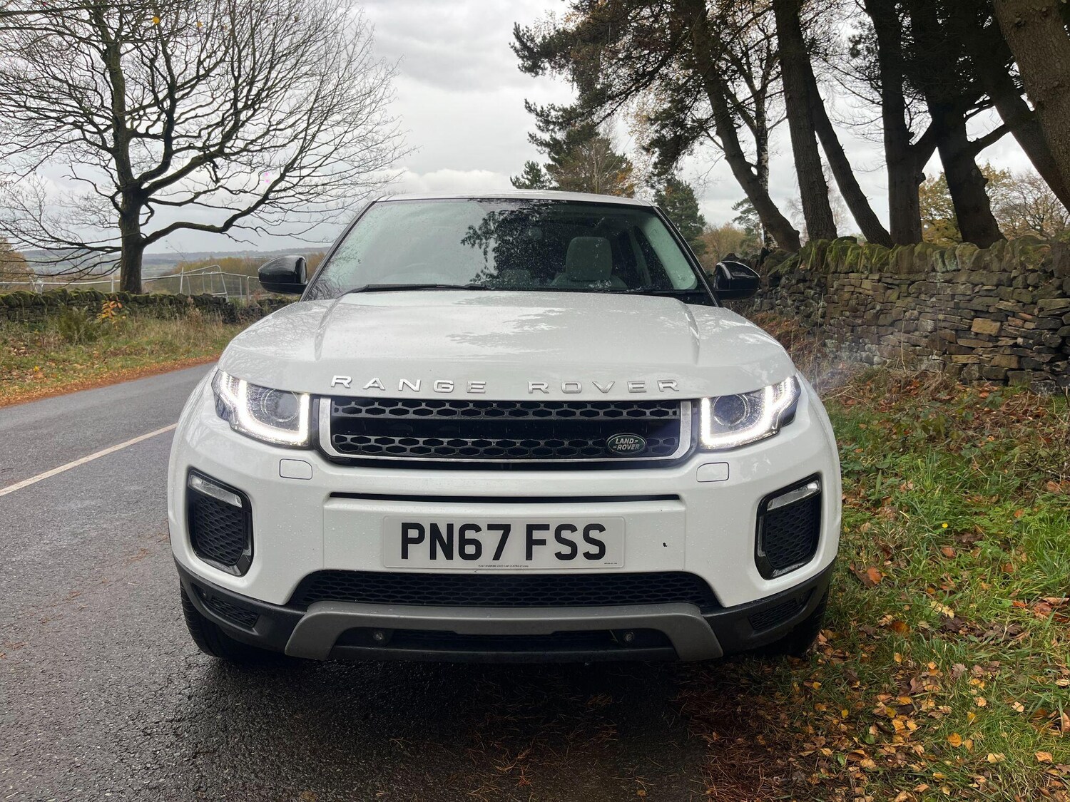 Used Land Rover Range Rover Evoque 2017 for sale - 76703647: Photo 9
