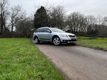 Used Skoda Octavia 2016 for sale - 77200757: Photo
