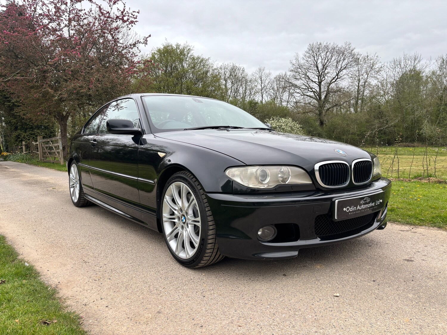 Used BMW 3 Series 2005 for sale - 78207052: Photo 6