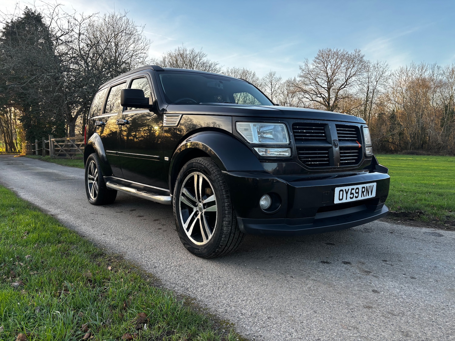 Used Dodge Nitro 2009 for sale - 77281176: Photo 3