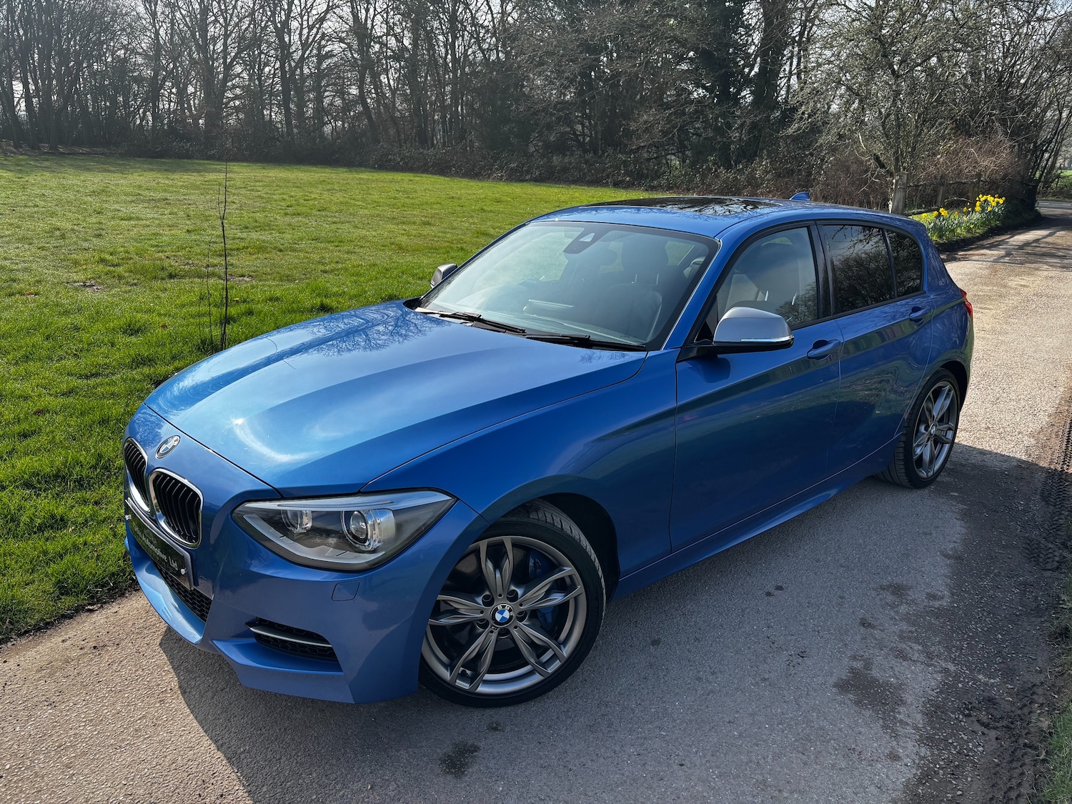 Used BMW 1 Series 2013 for sale - 77249370: Photo 10