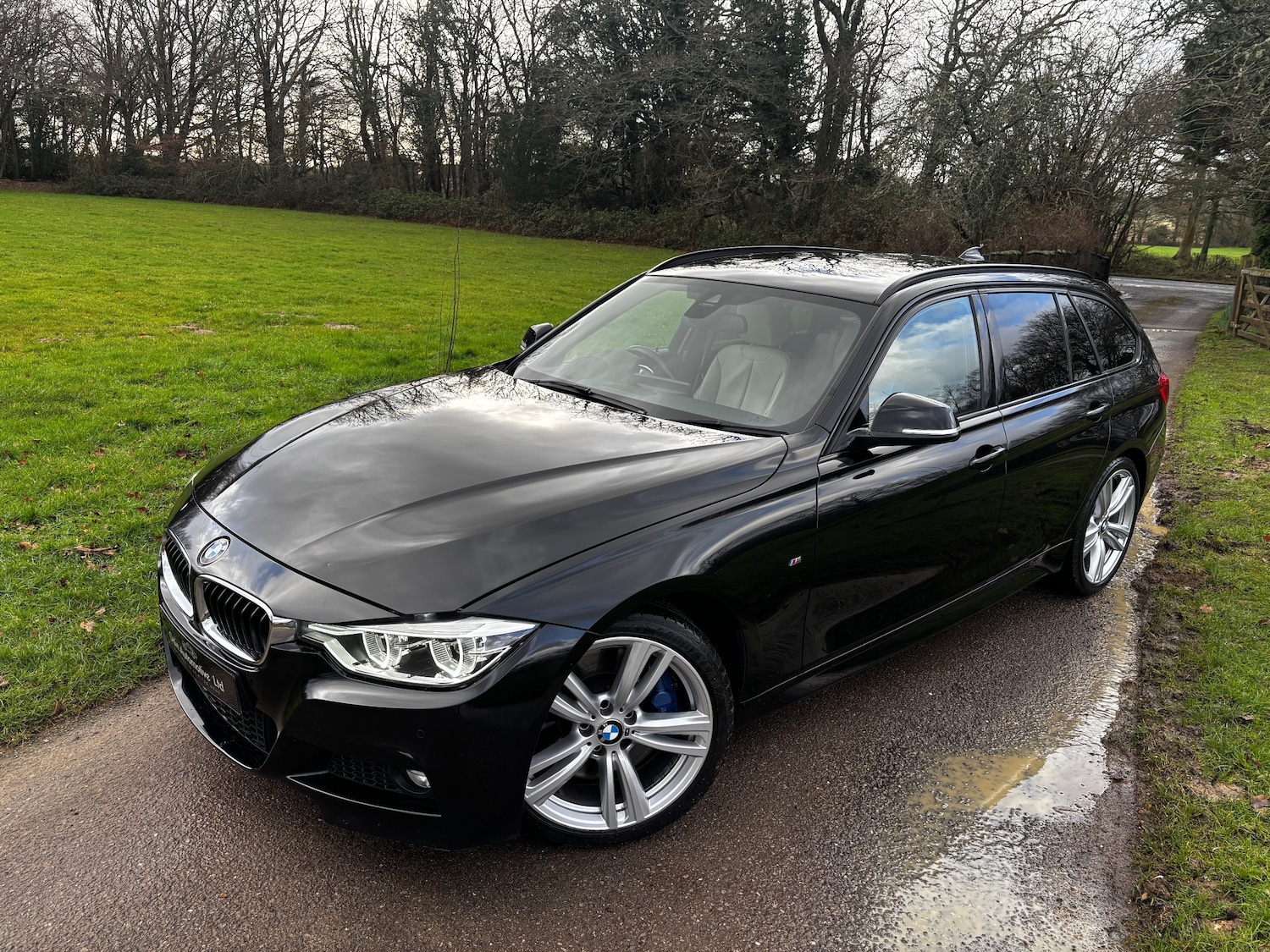 Used BMW 3 Series 2017 for sale - 77195788: Photo 13