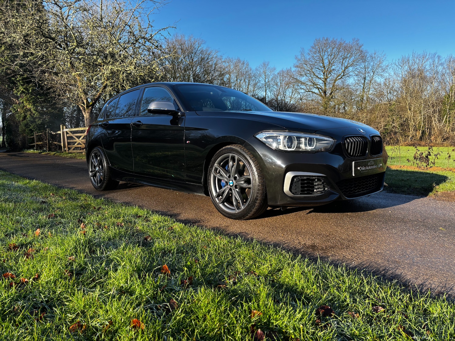 Used BMW 1 Series 2018 for sale - 77100938: Photo 7