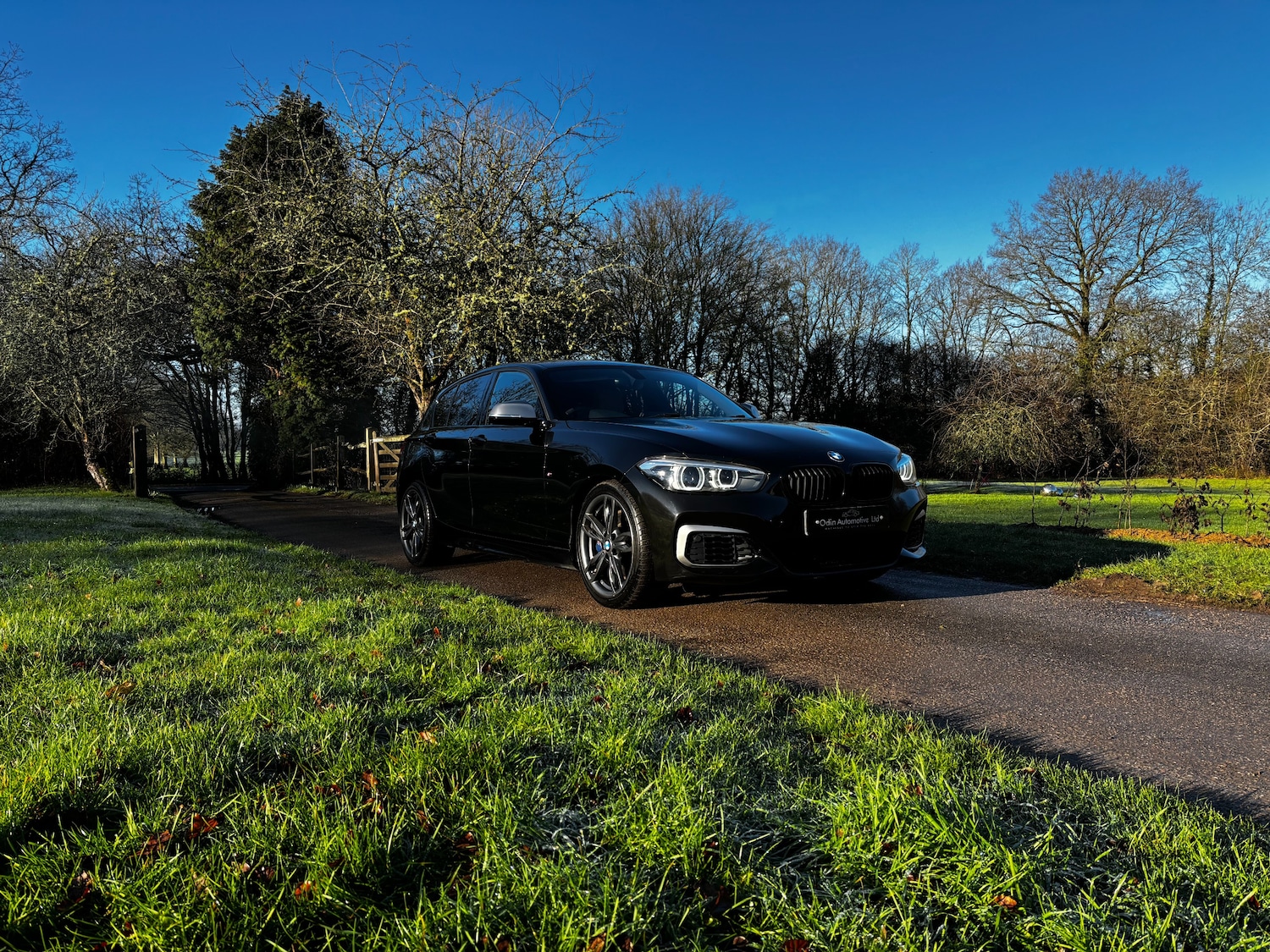 Used BMW 1 Series 2018 for sale - 77100938: Photo 9