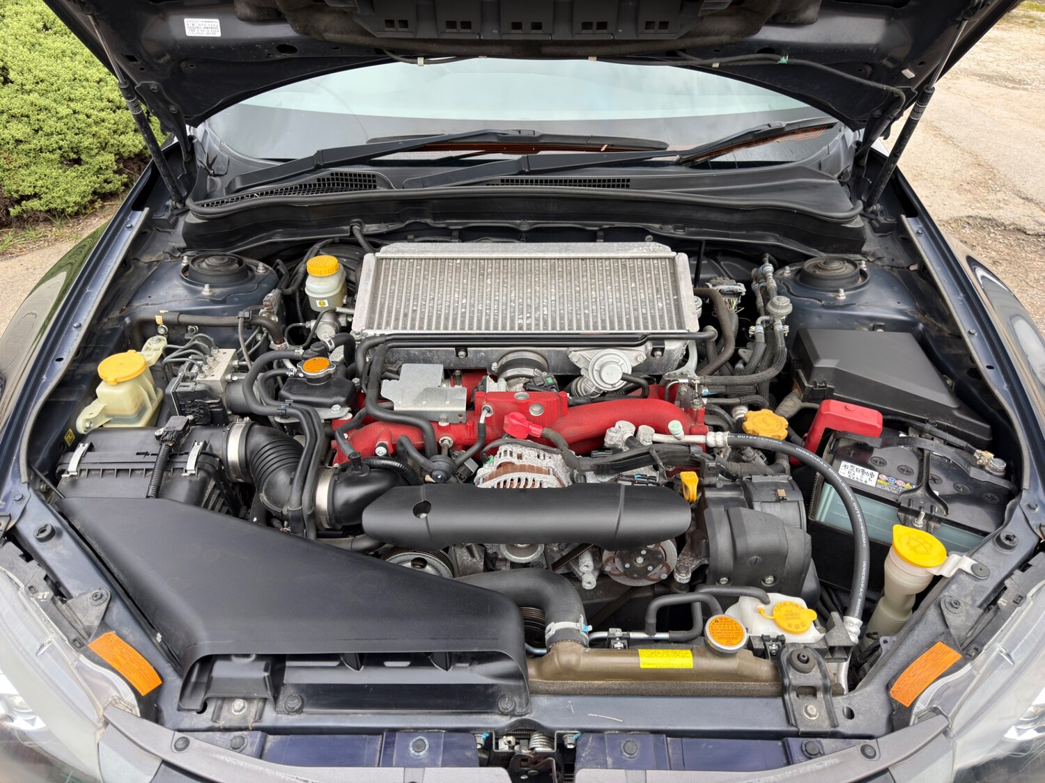 Used Subaru Impreza 2025 for sale - 78144109: Photo 21