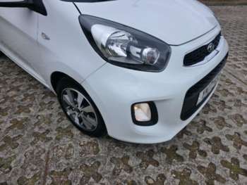 Used Kia Picanto 2017 for sale - 74680078: Photo