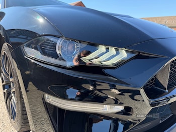 Used Ford Mustang 2019 for sale - 78574600: Photo