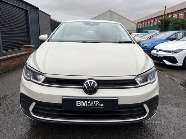 Used Volkswagen Polo 2023 for sale - 77345999: Photo 3