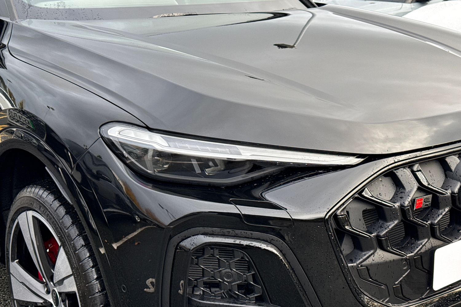 Used Audi SQ5 2025 for sale - 76685775: Photo 8