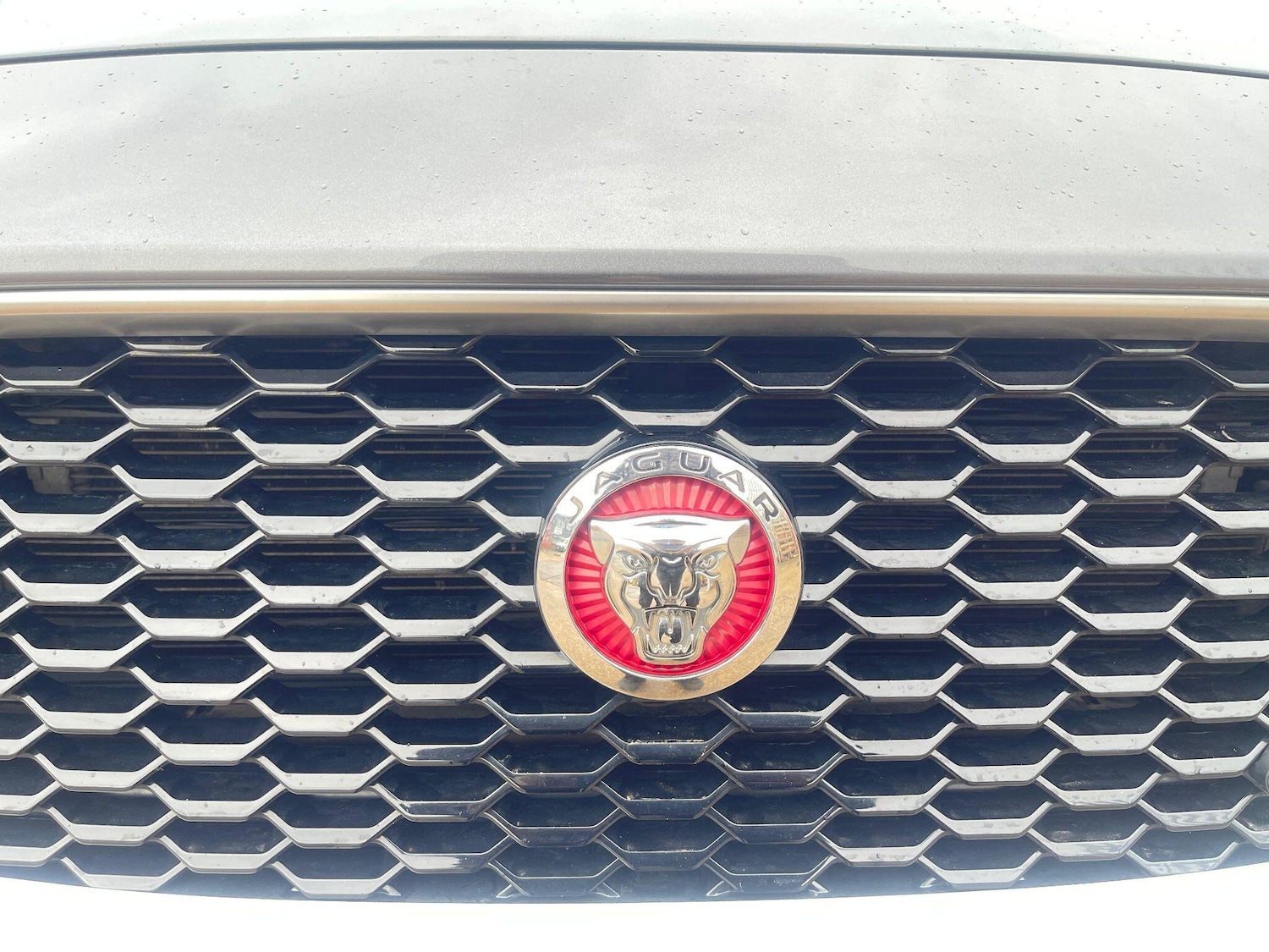 Used Jaguar E-Pace 2019 for sale - 76996335: Photo 24