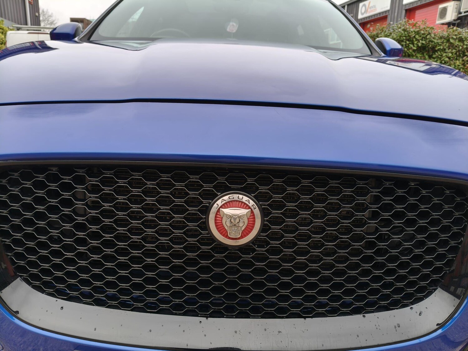 Used Jaguar F-Pace for sale - 77496425: Photo 33