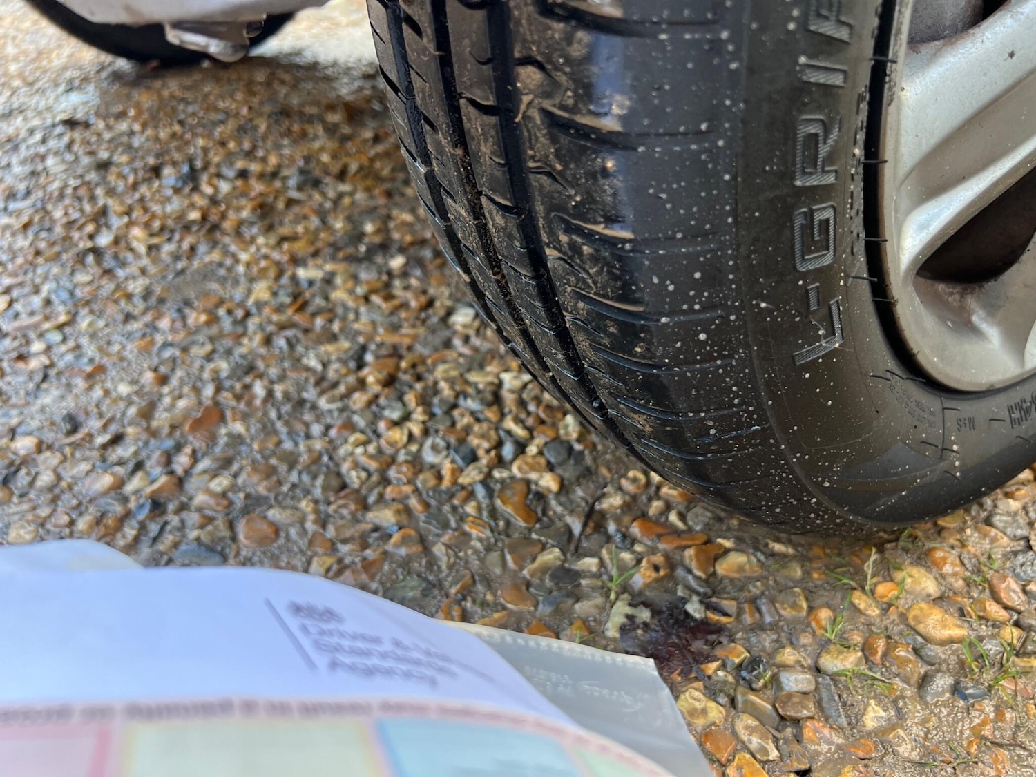 Used Toyota IQ 2010 for sale - 76839899: Photo 13