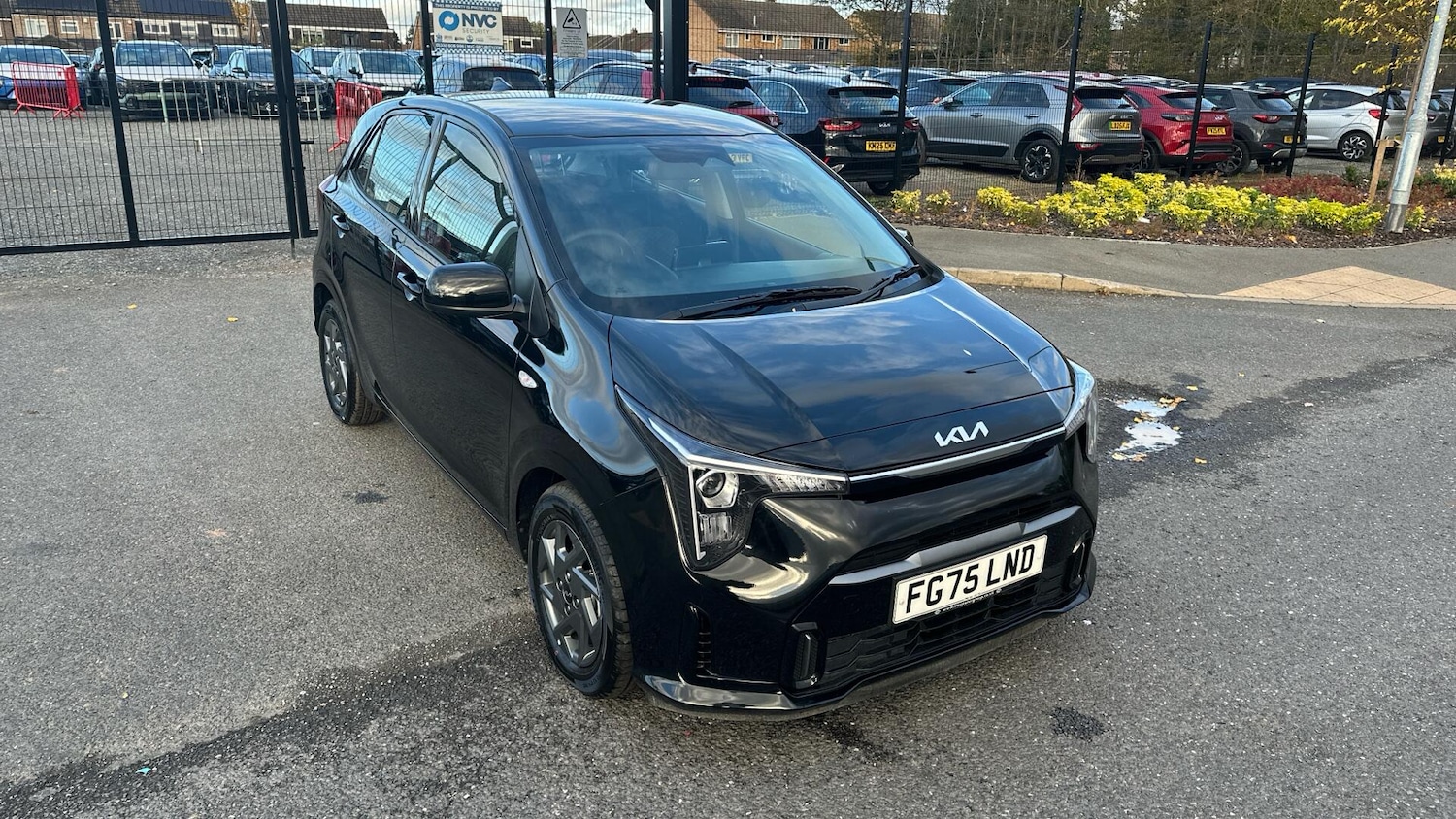 Used Kia Picanto 2025 for sale - 76337137: Photo 11