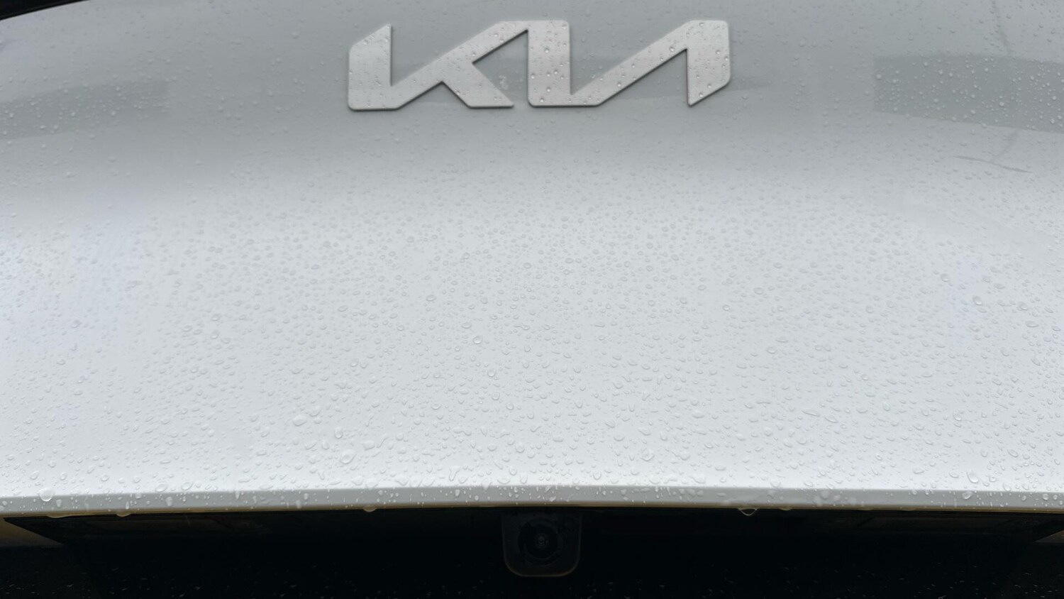 Used Kia Sportage 2025 for sale - 77673200: Photo 40