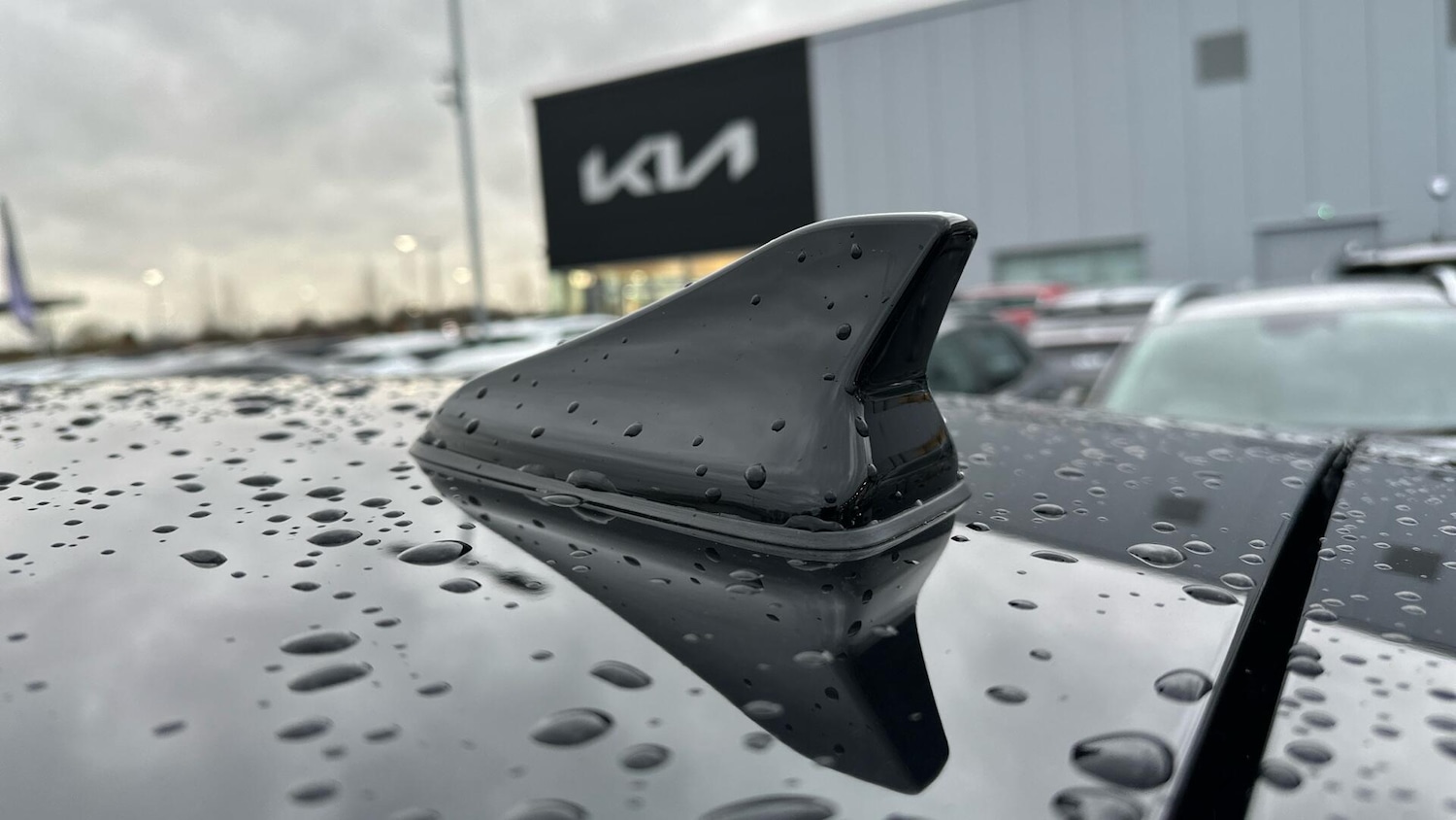 Used Kia Picanto 2025 for sale - 77673232: Photo 38