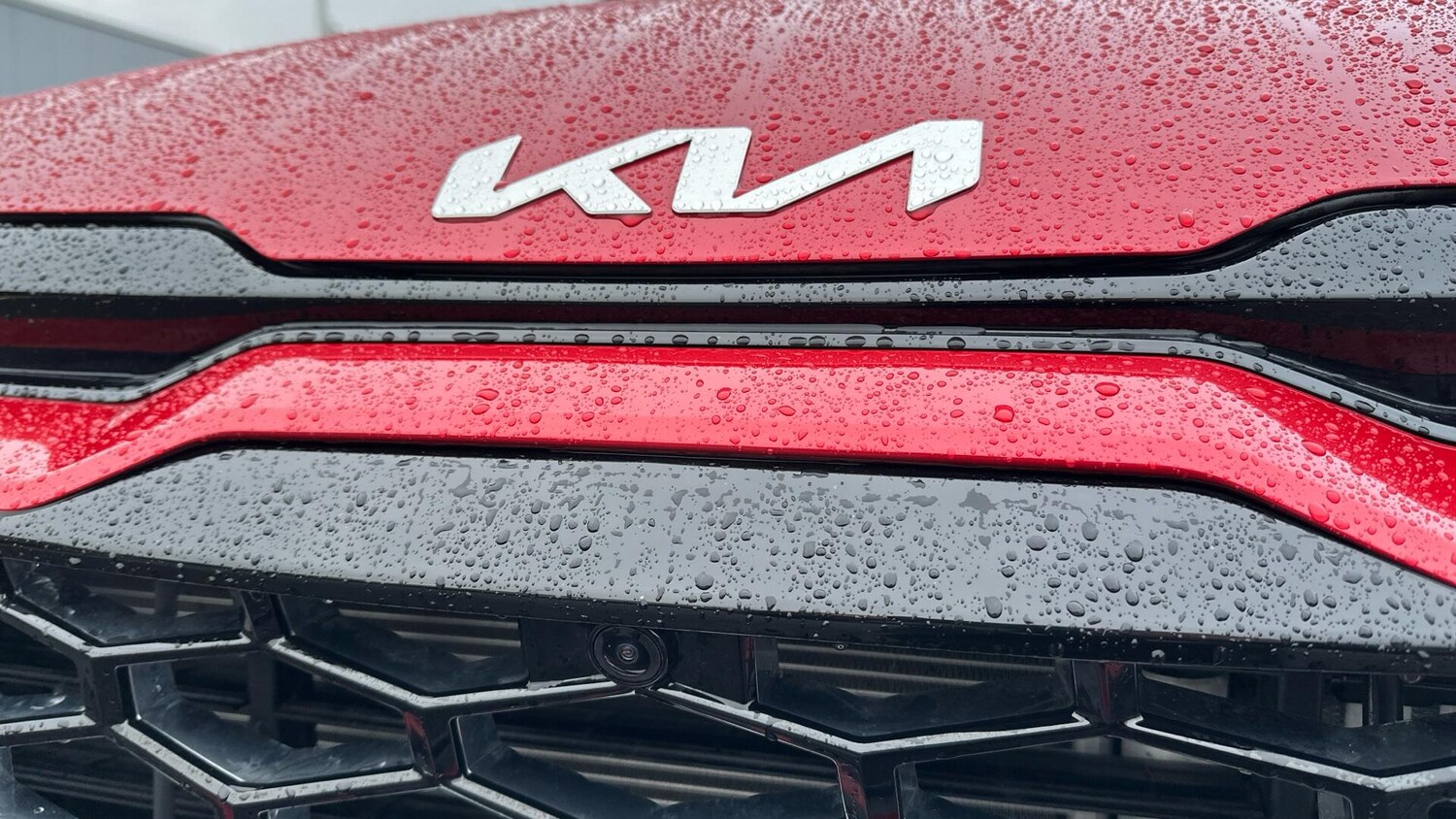 Used Kia Sportage 2025 for sale - 77673221: Photo 45