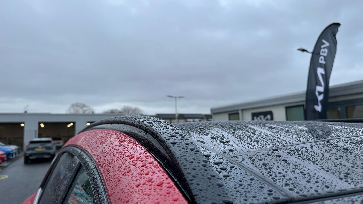 Used Kia Sportage 2025 for sale - 77673221: Photo 46