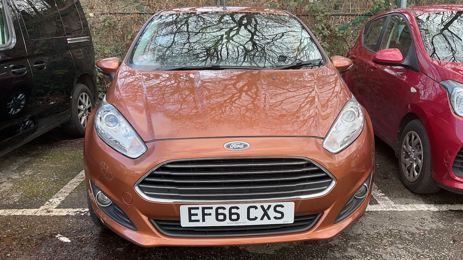 Used Ford Fiesta 2016 for sale - 77257259: Photo 16