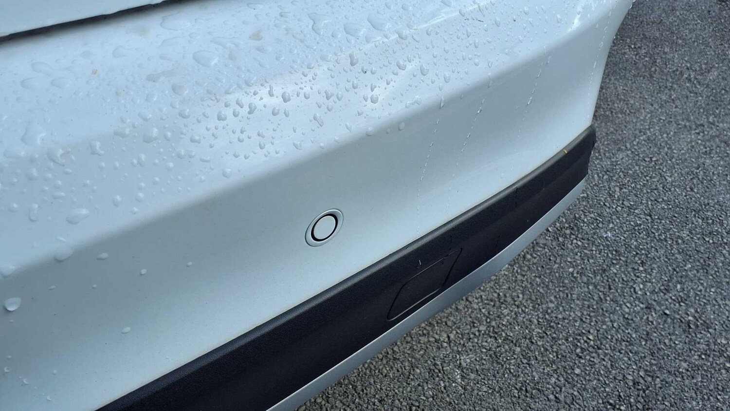 Used Ford Focus 2020 for sale - 76624715: Photo 14