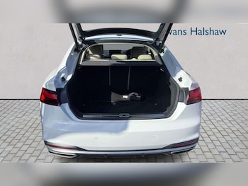Used Audi A5 2024 for sale - 79065486: Photo