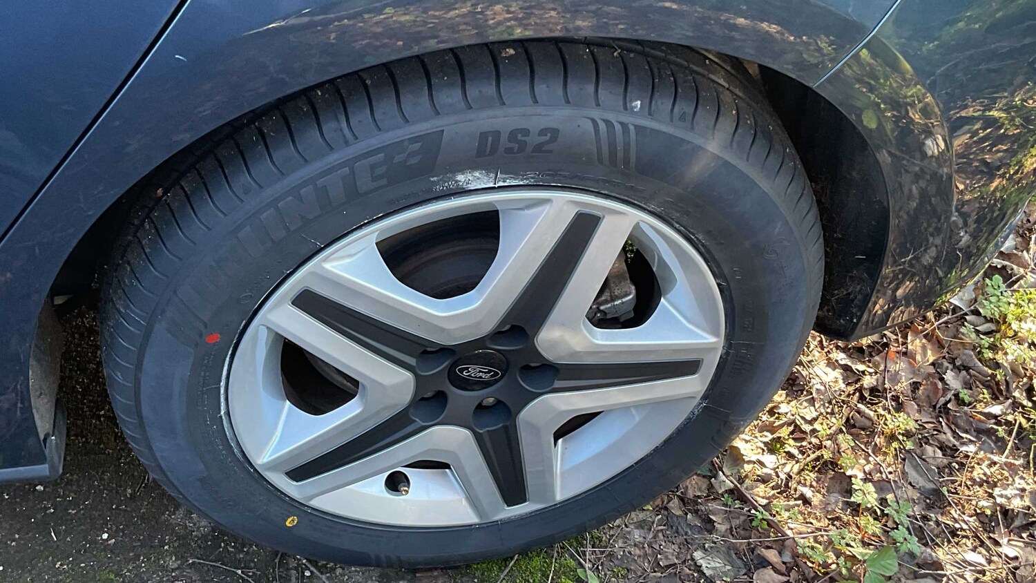 Used Ford Focus 2023 for sale - 77810961: Photo 10